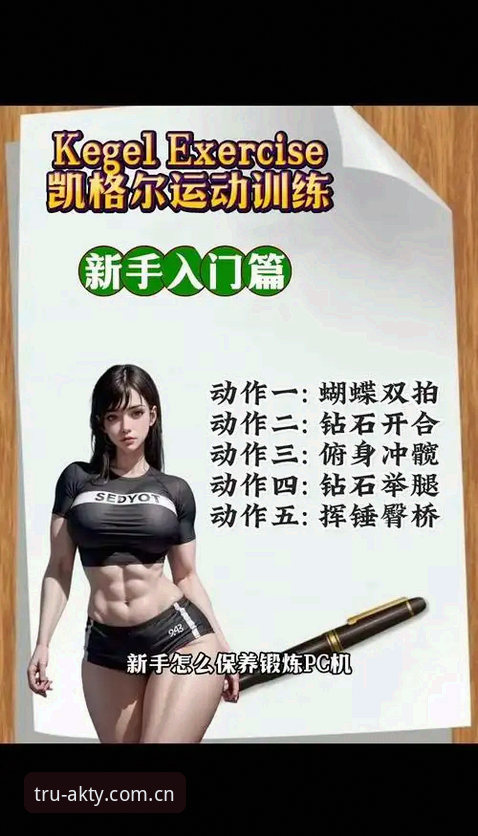 AK体育平台最新版本实用指南：新手友好型操作全攻略